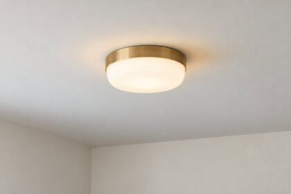 Ceiling Lighting